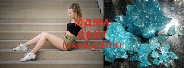 индика Богородицк