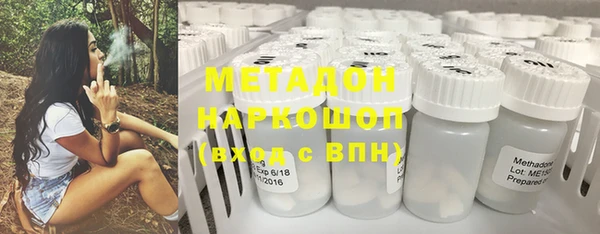индика Богородицк