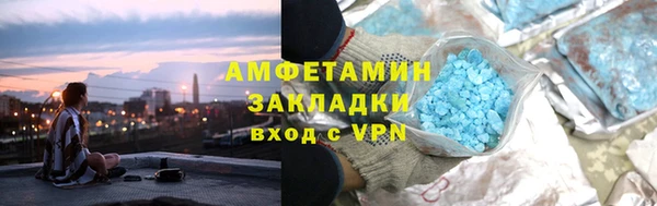 индика Богородицк