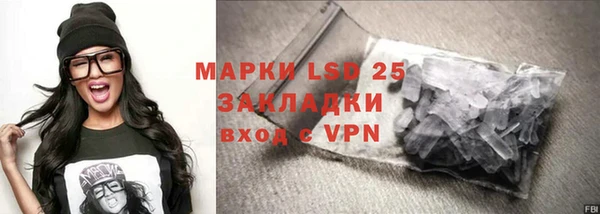 индика Богородицк