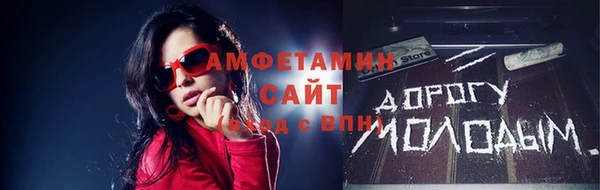 индика Богородицк