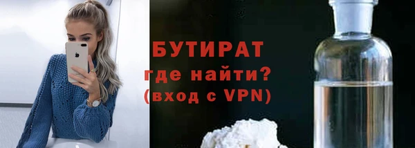 индика Богородицк