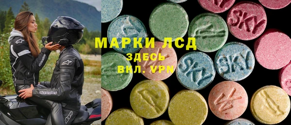 индика Богородицк