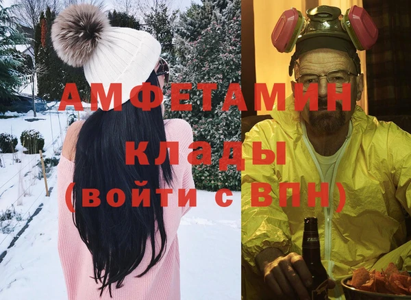 индика Богородицк