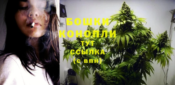 индика Богородицк
