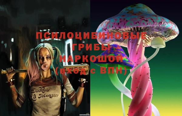 прущие крисы Белокуриха