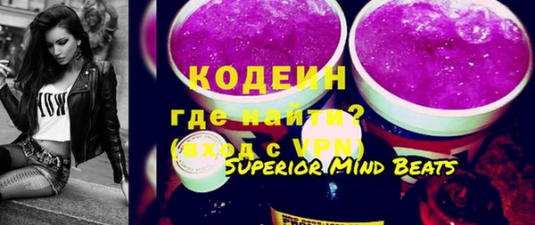 индика Богородицк