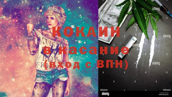 индика Богородицк