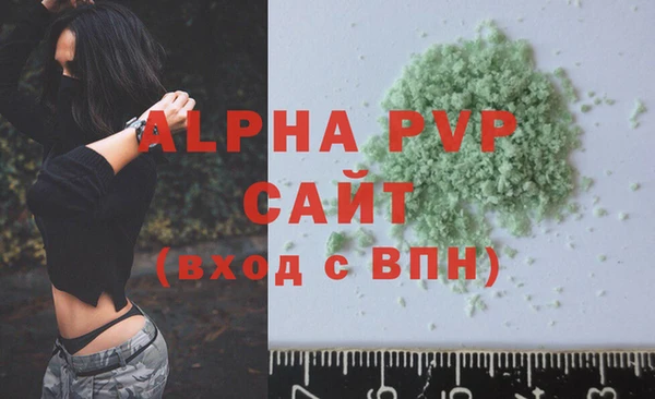 индика Богородицк