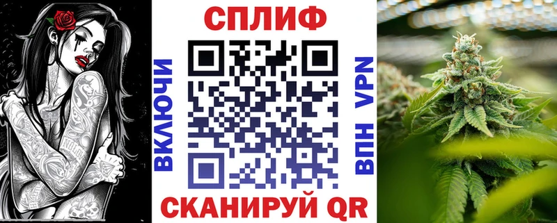 Бошки марихуана план где купить наркоту Каспийск